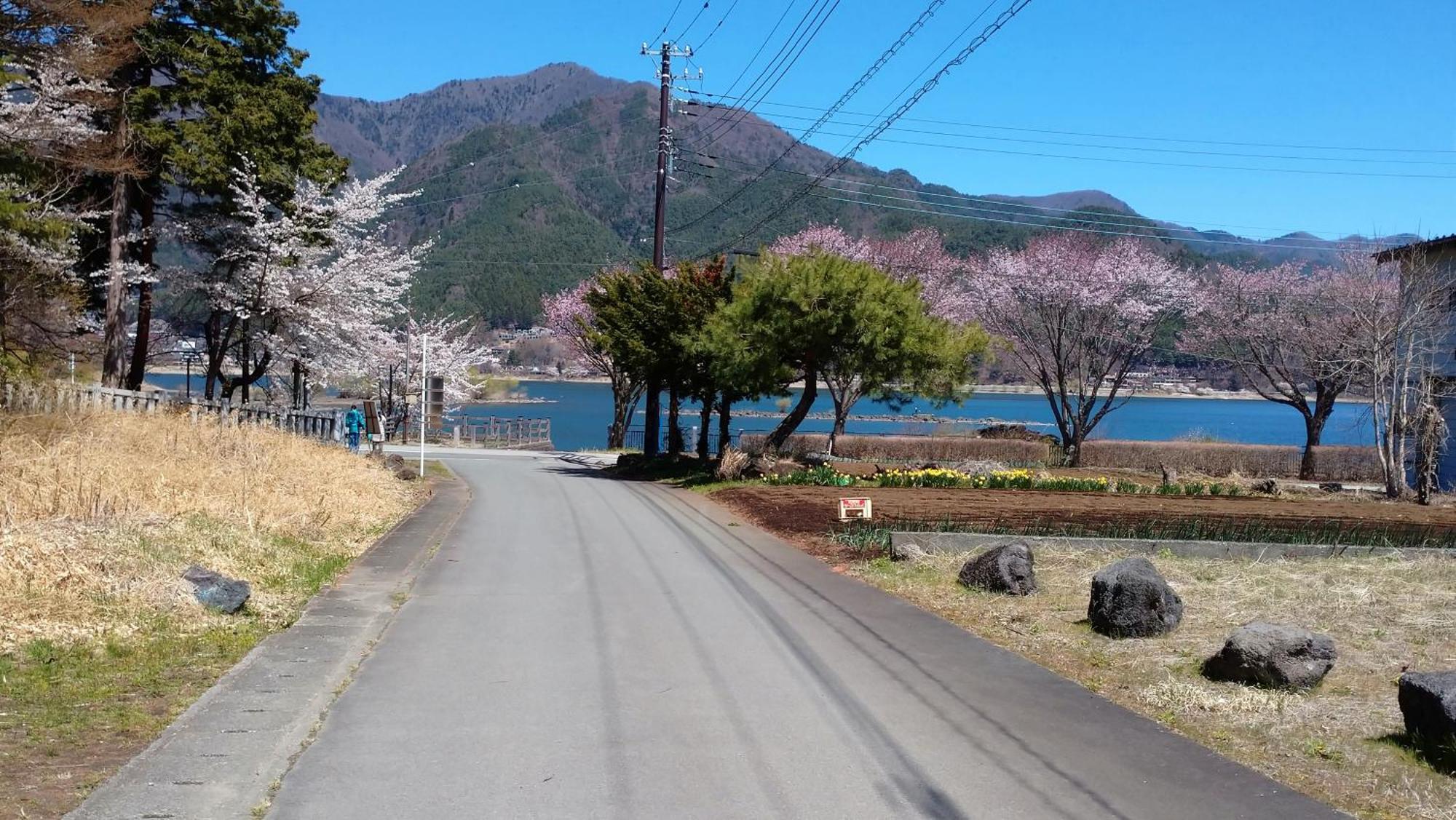 Nishimiyasou Hotel Fujikawaguchiko Luaran gambar