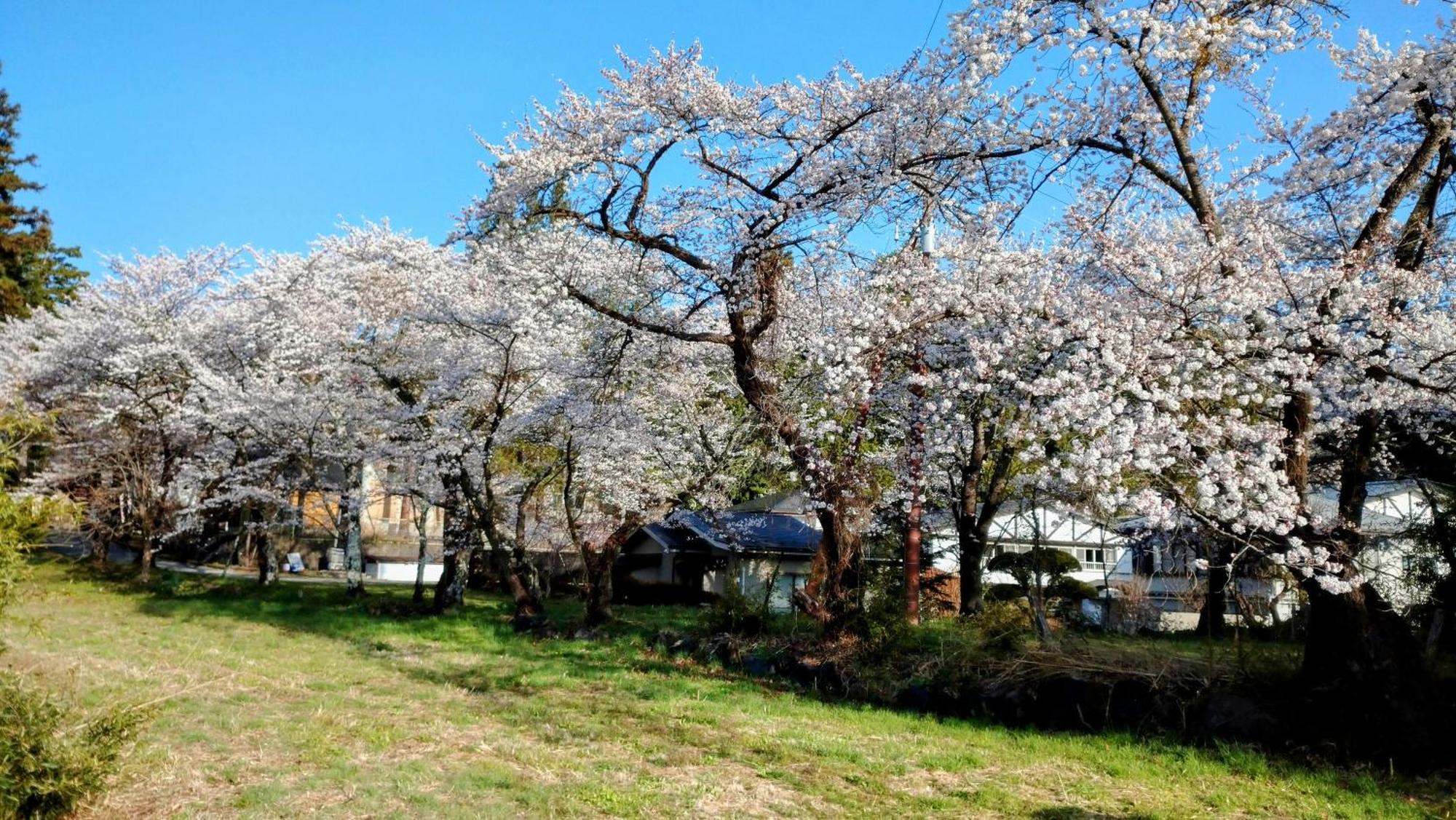 Nishimiyasou Hotel Fujikawaguchiko Luaran gambar