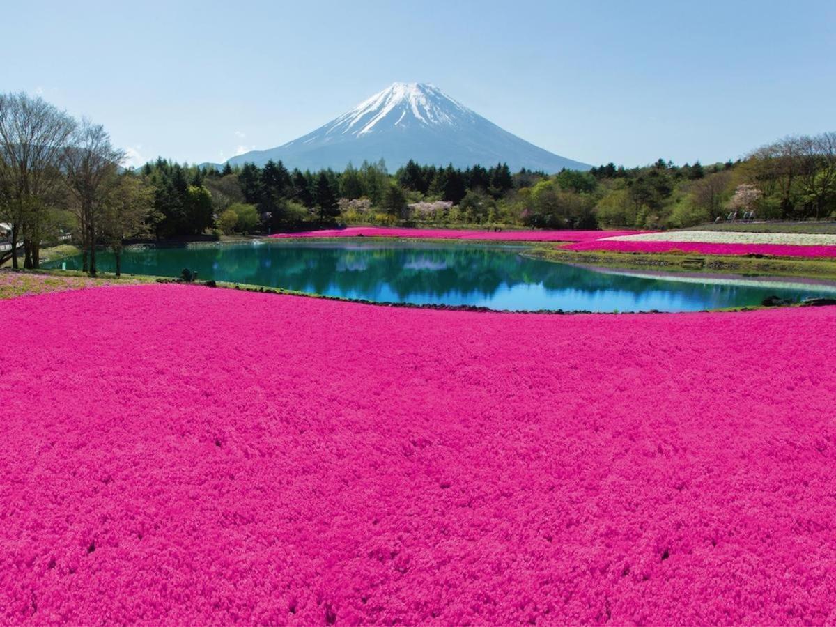 Nishimiyasou Hotel Fujikawaguchiko Luaran gambar