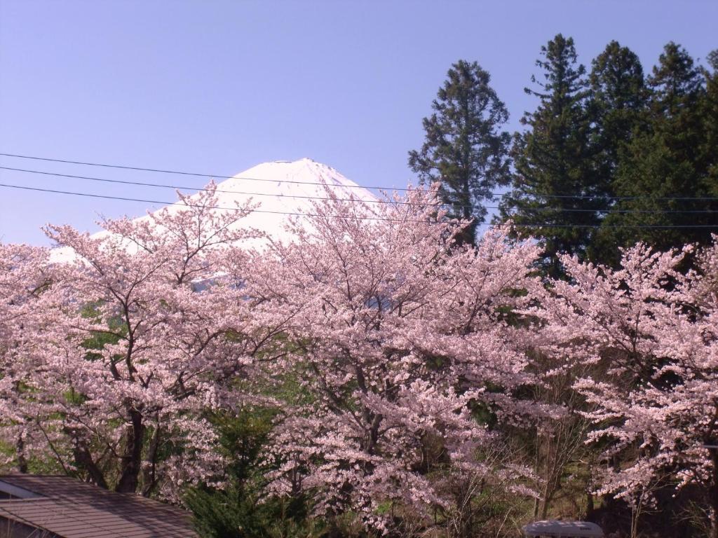 Nishimiyasou Hotel Fujikawaguchiko Luaran gambar